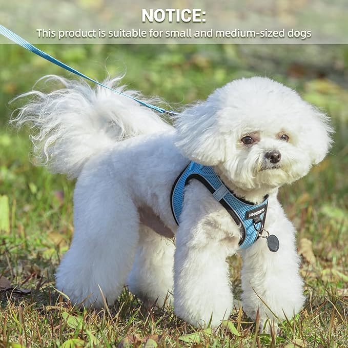 Dog Harness and Leash Set, Dog Harness for Dogs No Pull, No-Chock Step-in Reflective Breathable Lightweight Easy Walk Vest Harnesses with Safety Buckle for Small Dogs, Cats (Light Blue, S)