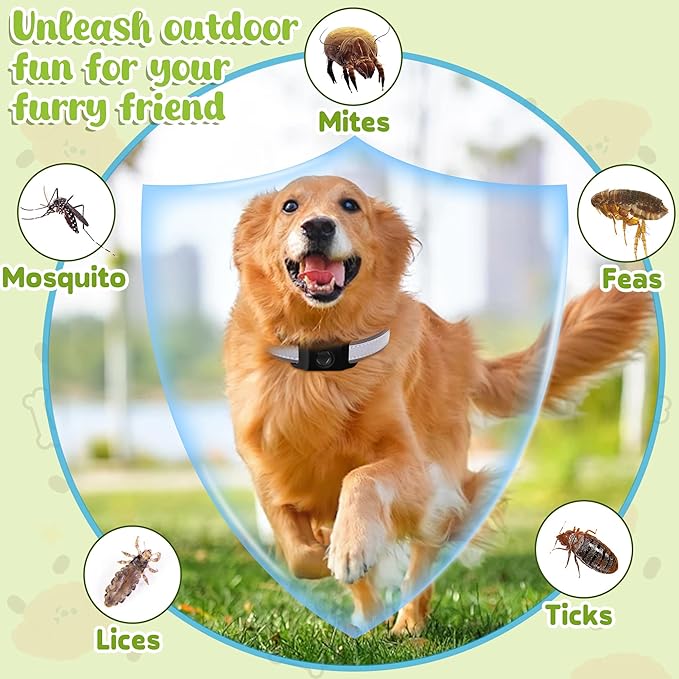 Natural Dog Tag for Flea & Tick Prevention – Waterproof Collar Pendant with 2 Extra Refills, Black, Safe for All Breeds, Collar Not Included