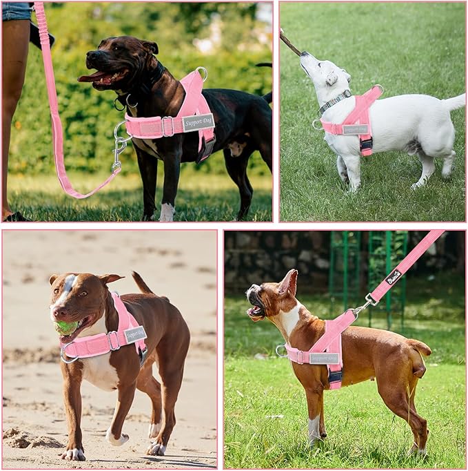 Lukovee No Pull Dog Harness & Leash Set - Heavy Duty Dog Vest Harness with Soft Padded for Medium Large Dogs, Adjustable Reflective Tactical Pet Harness for Easy Walk and Training (M, PI)
