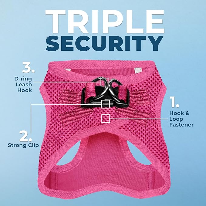 Best Pet Supplies Voyager Step-in Air Harness - All Weather Mesh, Reflective, No Pull Harness for Dogs, Cats - Secure with Hook & Loop Fastener, Buckle, Double D-Rings - Fuchsia, L