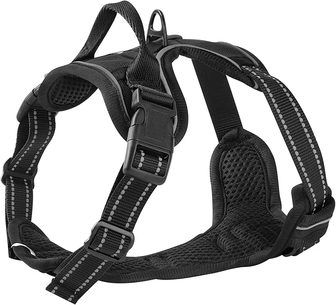 Black Adjustable Reflective No-Pull Dog Harness with 2 Leash Clips，Soft Padded Vest for Small Dog, Easy to Put on and Take Off,Black Small