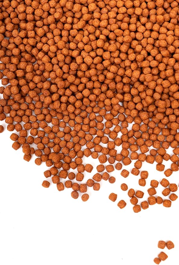 Aqua Master Prime Fish Food 10kg, 22-Pound (Small)
