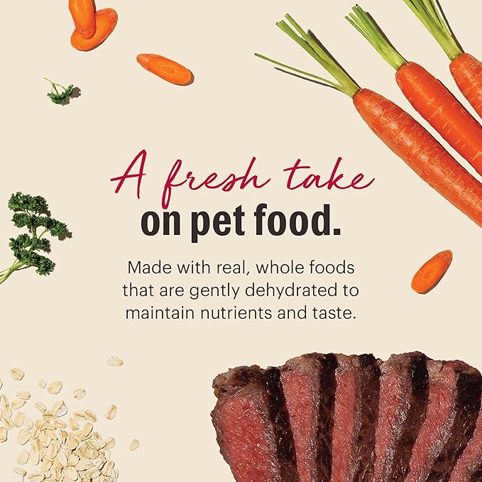 The Honest Kitchen Human Grade Wholemade™ Dehydrated Whole Grain Dog Food - Complete & Balanced Meal or Topper - Beef & Oat 10 lb Box