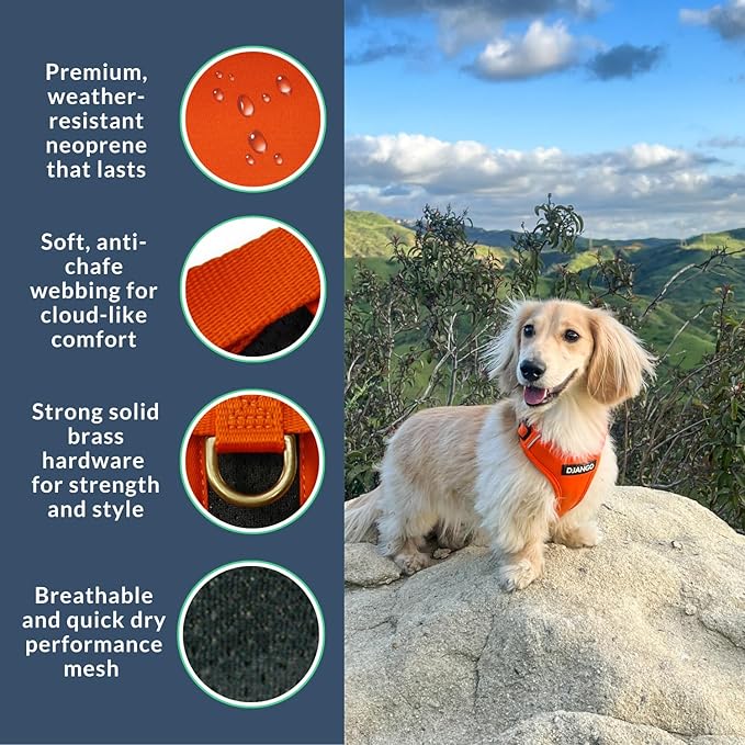 DJANGO Adventure Dog Harness - Stylish, & Durable Large Dog Harness for Outdoor Adventures and Everyday Wear - Sunset Orange Neoprene Adjustable Harness for Dogs with Reflective Piping & Brass D-Ring