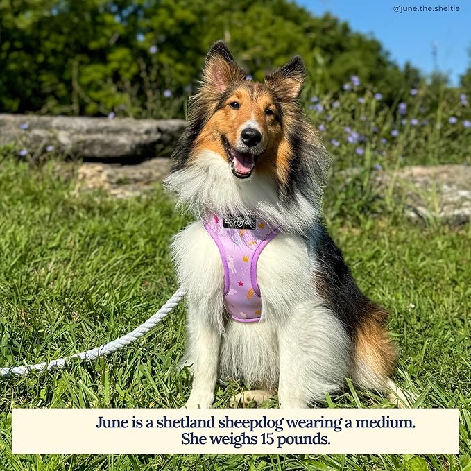 Lucy & Co. Cute Reversible Dog Harness Walking Halter - Best Designer Pet Harnesses for XS - XL Dogs - Padded Adjustable Vest for Easy Walking (X-Large, Unicorn Magic - Purple & Pink Unicorns)
