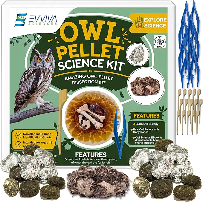 ES EVVIVA SCIENCES Owl Pellet Kit - Dissect 30 Mostly Small Real Owl Pellets w/Tools & PDF Bone Charts - Science Education Kit for Ages 15+ - Hands-On Animal Biology Science Lab Activity
