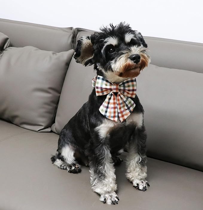 Unique Style Paws Cotton Dog Collar with Bow Floral Plaid Colorful Dog Collar with Bow Tie for Small Medium Large Dogs Pets Gifts