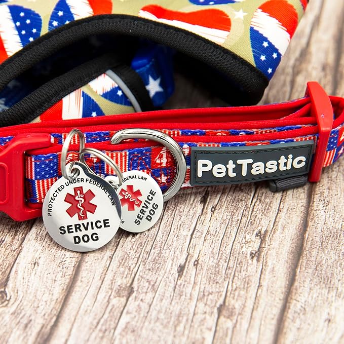 Engraved Service Dog Personalized with 4 Lines of Custom Engraved ID Stainless Steel Enameled Regular