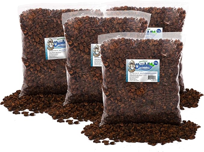 Chubby Dried Silkworm Pupae | 44?lbs | High-Protein Treat for Koi, Fish, Reptiles & Terrapins – Nutrient-Rich Calcium Snack