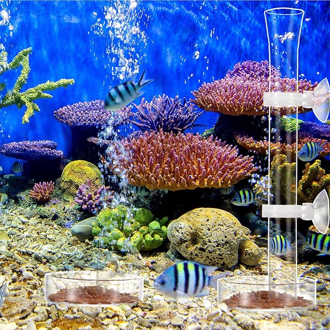 Chengu 3 Pieces Shrimp Feeding Tube and Dish Set, Include Glass Shrimp Feeder Tube and 2 Aquarium Dish Bowl Fish Tank Feeding Supplies for Fish Tank Aquarium
