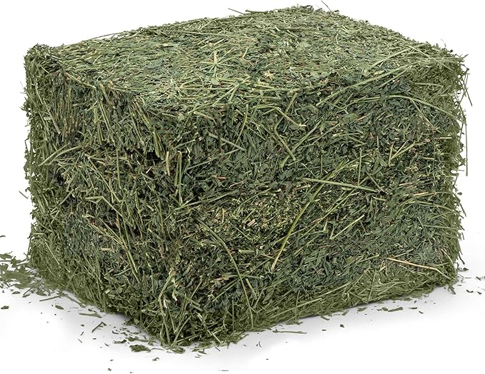High Desert Alfalfa Hay, Protein Rich Soft Leaf Food for Young Growing Animals, Natural Rabbit Food and Guinea Pig Hay, Supports Digestive Health, Small Pet Supplies, Fresh Hand, Pack of 2, 10 Lb Box
