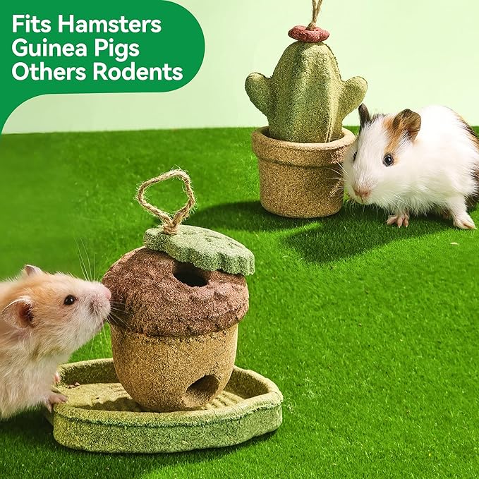 2 Pack Guinea Pig Chew Toys, Prevent Teeth Overgrowth - 11oz Hamster Toys, Natural Vegetables & Timothy Grass, Cute Acorns & Cactus Shaped Habitat Decoration, Small Animal Chew Toys