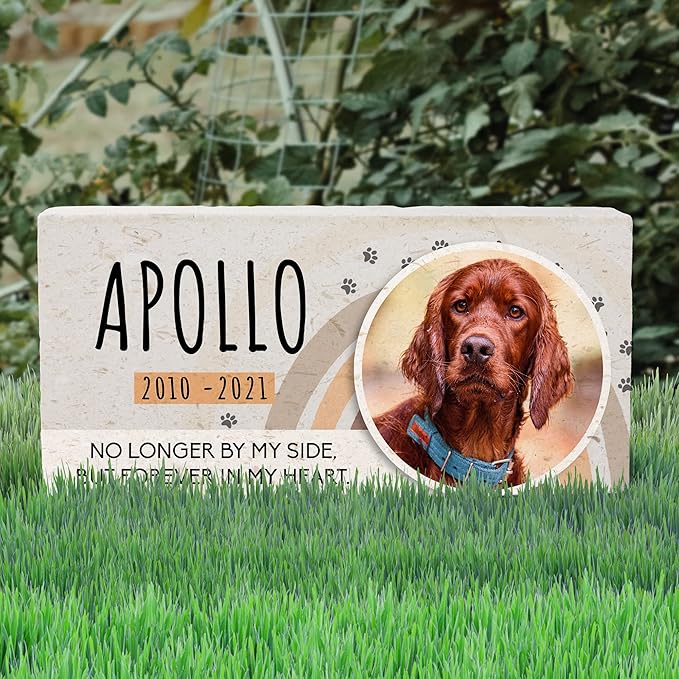 Personalized Pet Memorial with Keepsake Photo on Limestone - Headstones, Garden Stones, and Grave Markers for Dogs - Dog Memorial Stone, Pet Memorial Gifts - 12”x 6”x1.25" D (B. Apollo Design)