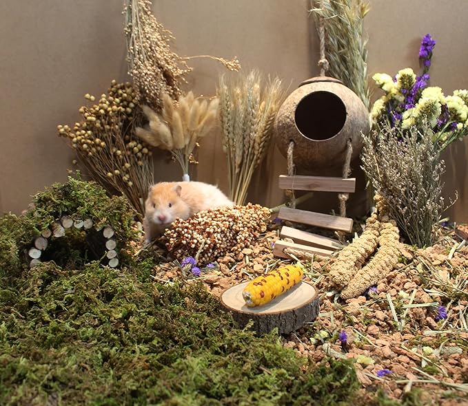 Natural Hamster Bedding Flowers Herbs Sprays Treat for Cage Habitat Enclosure Decor for Dwarf Syrian Gerbils Mice Mouse Rat Pet Accessories Supplies