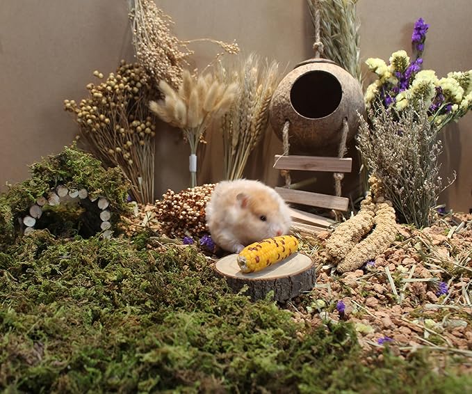 Natural Hamster Bedding Flowers Herbs Sprays Treat for Cage Habitat Enclosure Decor for Dwarf Syrian Gerbils Mice Mouse Rat Pet Accessories Supplies