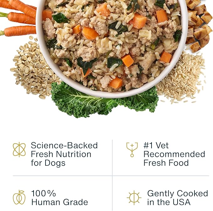 JustFoodForDogs JustFresh Wet Dog Food, Fresh Pet Meals and Toppers with No Preservatives, Resealable Package, Human Grade, Home-Cooked Chicken, 12 oz - 7 Pack