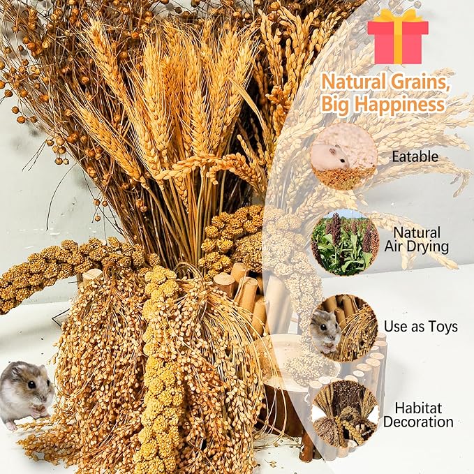 Natural Hamster Grain & Herb Habitat Deocr, Edible Hamster Sprays Herbs Bedding Mate, Hamsters Cage Enrichment Decoration Accessories for Gerbil Dwarf Syrian Hamsters Mouse Guinea Pig Mice