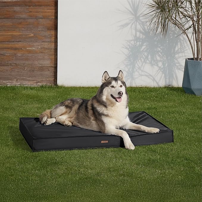 LE SURE Outdoor Waterproof Dog Bed for Extra Large Dogs, Orthopedic Egg Crate Foam Pet Bed with Oxford Fabric Surface and Removable and Durable Cover, Machine Washable, 48''x30'', Black