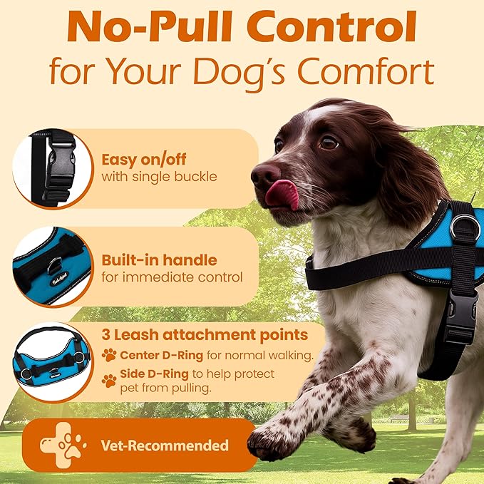 Bark Appeal Aqua Blue No-Pull Dog Harness for Medium to Large Sized Pets – Adjustable, Reflective Vest with 3 Leash Clips for Added Control, Easy Walks & Training – Large