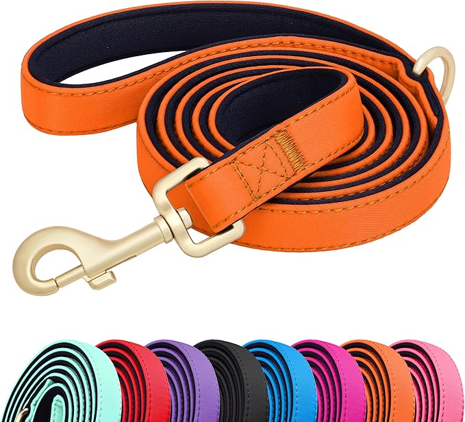 Didog 5FT Colorful Nylon Dog Leash with Soft Full-Length Padding, Lightweight and Durable Pet Leash for Medium and Large Dogs, Orange, M