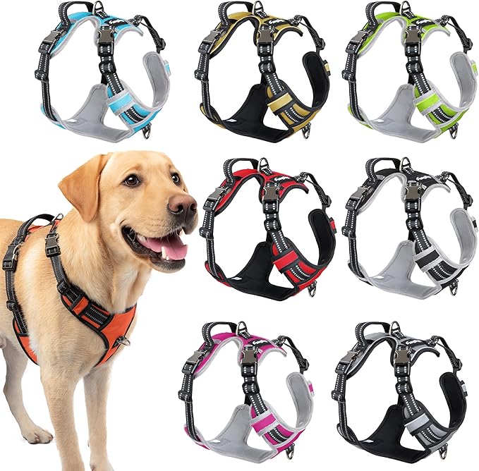 Step in Dog Harness for Extra Large Dogs, Orange, Adjustable, Easy On Off, No Pull Through Design, 2 Dog Leash Points, 3M Reflective Trim, Neoprene Padded Control Handle