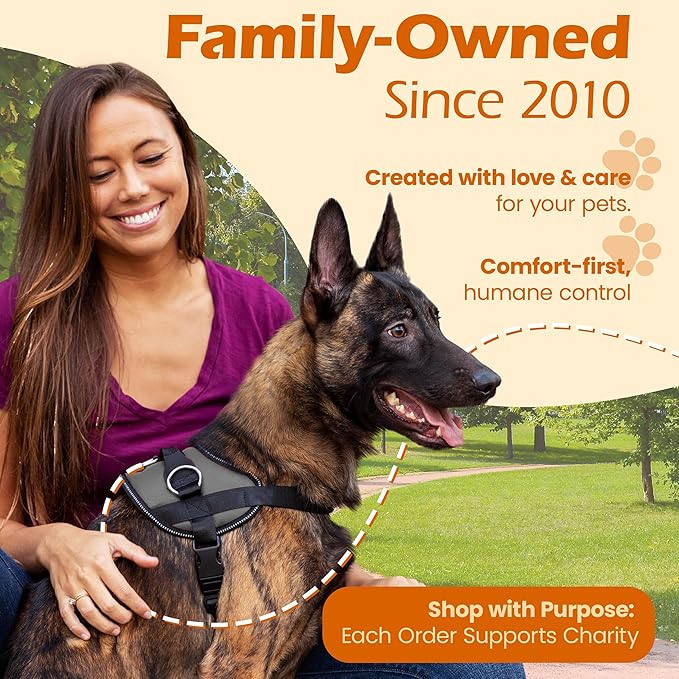 Bark Appeal Gray No-Pull Dog Harness for Extra Large Sized Pets – Adjustable, Reflective Vest with 3 Leash Clips for Added Control, Easy Walks & Training – XXL