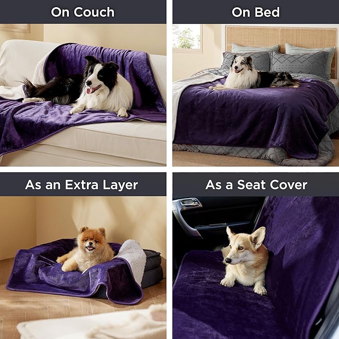 Bedsure Waterproof Dog Blankets for Extra Large Dogs - XL Cat Blanket Washable for Couch Protection, Sherpa Fleece Puppy Blanket, Soft Plush Reversible Throw Furniture Protector, 50x60, Eggplant