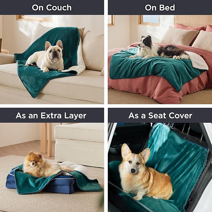 Bedsure Waterproof Blanket for Bed - Sherpa Fleece Waterproof Dog Blankets for Large Dogs, Pet Blankets for Bed/Couch/Dog Crate, Soft Plush Reversible Furniture Protector, Queen Size, 90"x86", Green