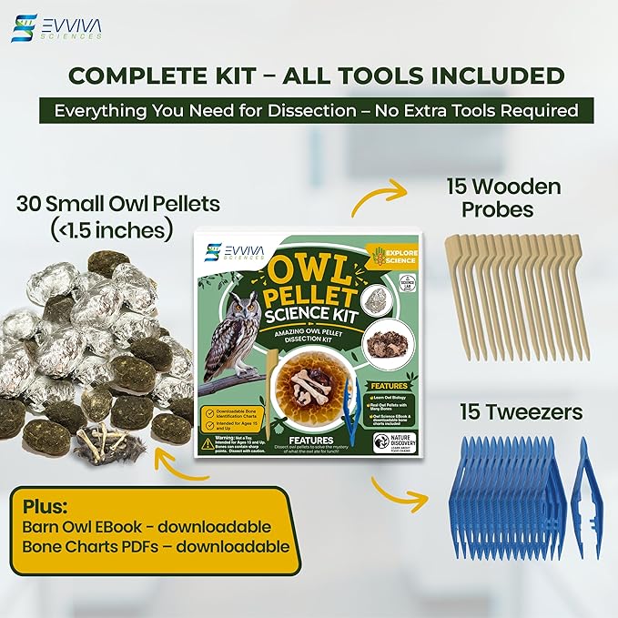 ES EVVIVA SCIENCES Owl Pellet Kit - Dissect 30 Mostly Small Real Owl Pellets w/Tools & PDF Bone Charts - Science Education Kit for Ages 15+ - Hands-On Animal Biology Science Lab Activity