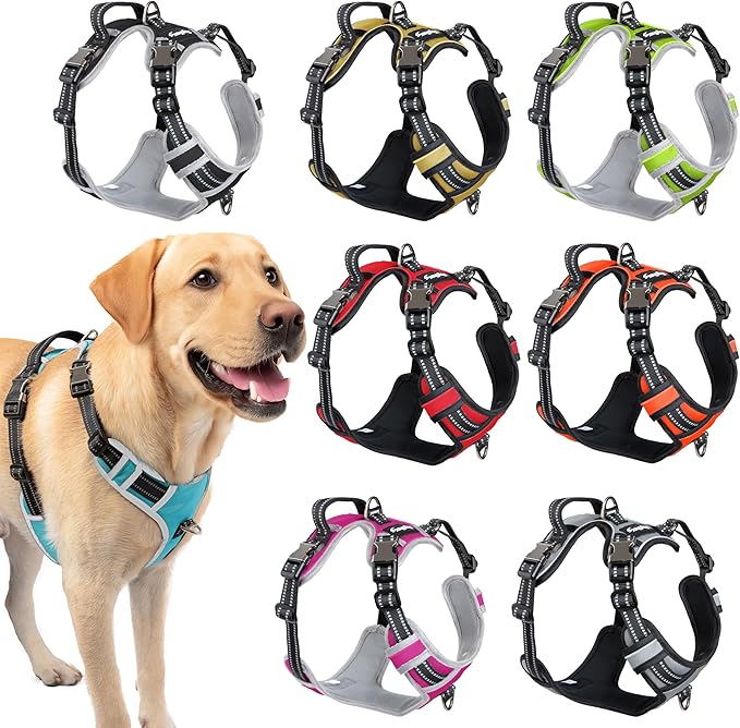 Step in Dog Harness for Medium Dogs, Sky Blue, Adjustable, Easy On Off, No Pull Through Design, 2 Dog Leash Points, 3M Reflective Trim, Neoprene Padded Control Handle