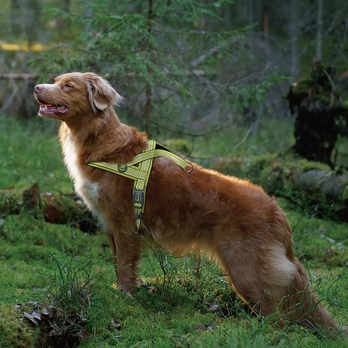DOCO No-Pull Dog Harness for Medium Sized Dog, Halter Reflective Easy-Control Harness for Training, Walking, and Preventing Pulling, Breathable Design - Turquoise