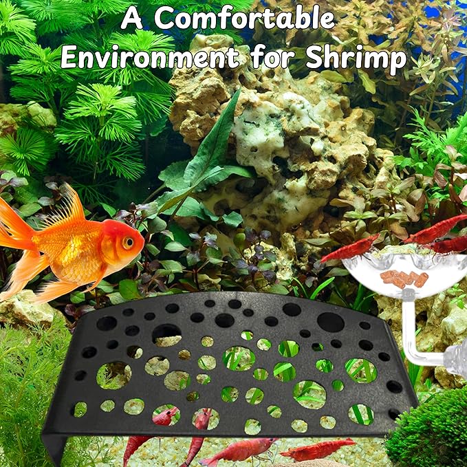 Aquarium Shrimp Hideout with Feeding Tray set, Shrimps Hides with Mini Fish Bowl, Shrimp Tunnel Aquarium Cave and Feeder Dish, Shrimps Shelter and Breeding Supplies, Small Fish Tank Accessories (Cave)