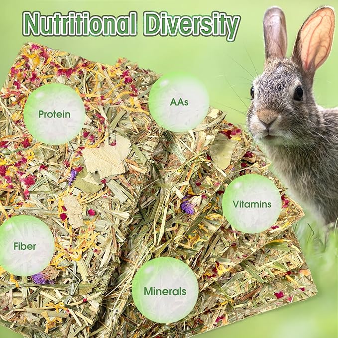 Abizoo Rabbit & Guinea Pig Treats 8 Pack Large Timothy Hay Bunny Chew Toys with Herbal Flowers Timothy Hay Forage Mix for Rabbits Guinea Pig Chinchillas Hamster Gerbils Rats Small Animals Teeth Care