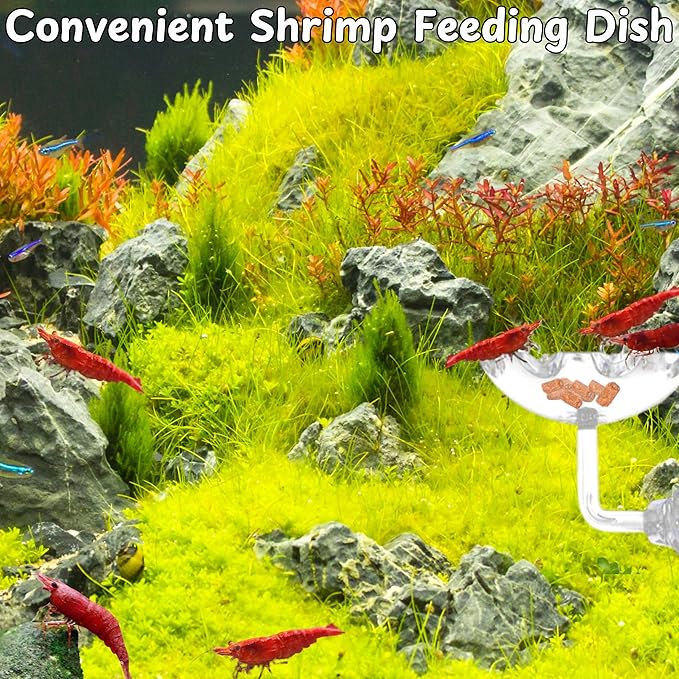 Aquarium Shrimp Hideout with Feeding Tray set, Shrimps Hides with Mini Fish Bowl, Shrimp Tunnel Aquarium Cave and Feeder Dish, Shrimps Shelter and Breeding Supplies, Small Fish Tank Accessories (Cave)