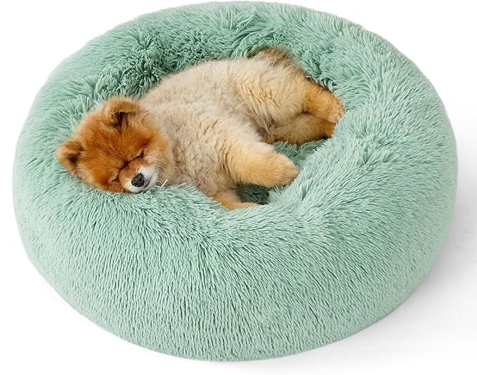 Bedsure Calming Dog Bed for Small Dogs - Donut Washable Small Pet Bed, 23 inches Anti-Slip Round Fluffy Plush Faux Fur Large Cat Bed, Fits up to 25 lbs Pets, Apple Green