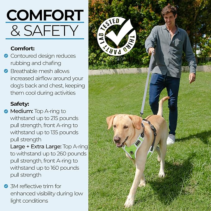 Step in Dog Harness for Medium Dogs, Chartreuse Green, Adjustable, Easy On Off, No Pull Through Design, 2 Dog Leash Points, 3M Reflective Trim, Neoprene Padded Control Handle