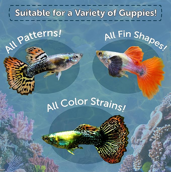 Aquatic Foods Inc. Guppy Flakes, Smaller Premium Special Blend Flake - AFI Guppy Flakes…2oz Small Jar