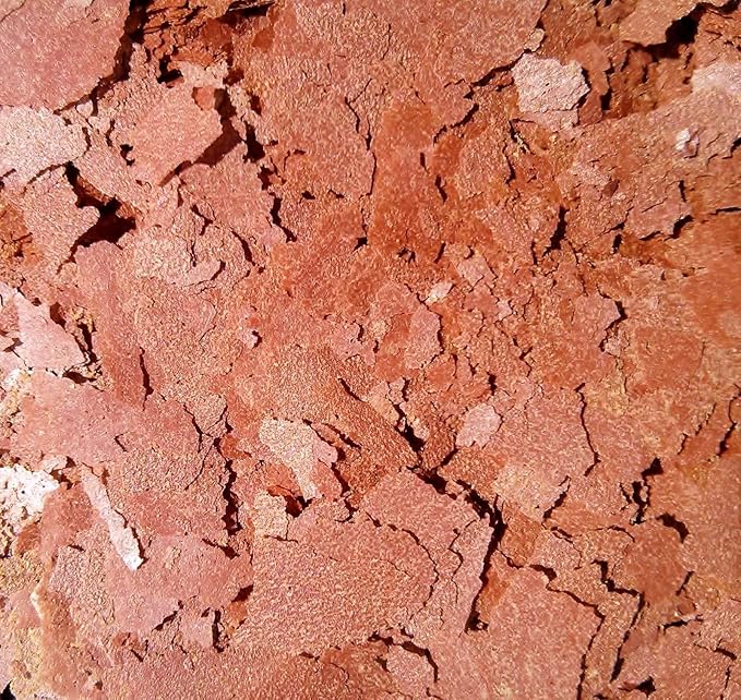 Aquatic Foods Inc. Bloodworm Flakes, High Protein Bloodworm Flakes for Discus, Cichlids, Tetras, Guppies, Live Bearers, All Community Tropical Fish - Premium AF Flakes - 1/4-lb
