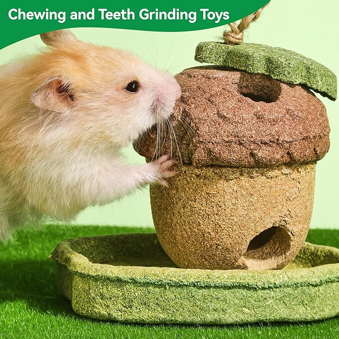 2 Pack Guinea Pig Chew Toys, Prevent Teeth Overgrowth - 11oz Hamster Toys, Natural Vegetables & Timothy Grass, Cute Acorns & Cactus Shaped Habitat Decoration, Small Animal Chew Toys