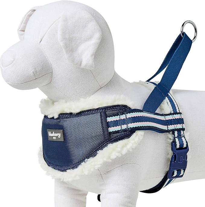 Blueberry Pet Soft & Comfy Multi-Colored Stripe Fleece Padded Chest Dog Harness, Chest Girth 20.5" - 26", Blue, Medium, Adjustable No Pull Training Harness for Dogs