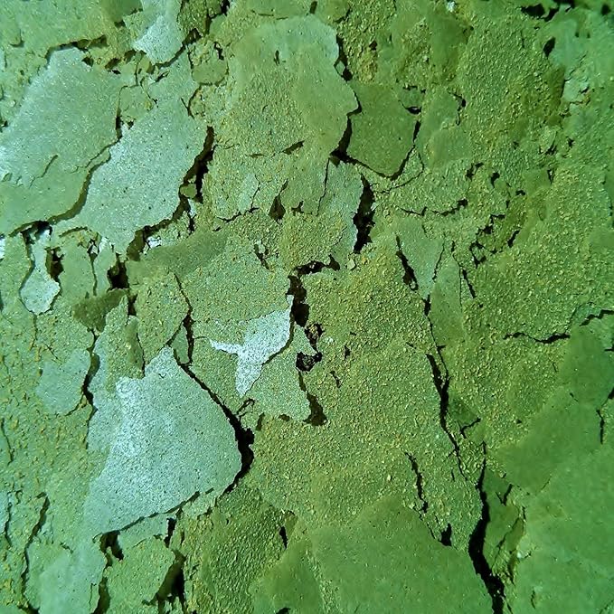 Aquatic Foods Inc. Cichlid Green GRO Spirulina Flakes, Discus, Angel Fish, Central & South American Cichlids for All Tropical Fish. Premium AF Flakes - 1/4-lb