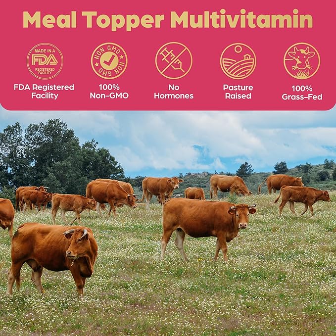 Beef Organ Bone Broth Meal Topper for Dogs - 100% Grass Fed, Veterinarian Approved, Non-GMO, Supports Joint Health, Heart Health, Vision, and Vitality - Made in The USA by Brothhh - Powder Supplement