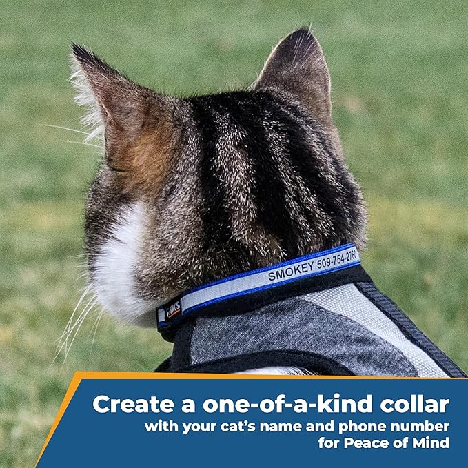 GoTags Personalized Reflective Cat Collars, Engraved Custom Cat Collar with Name and Phone Identification, Breakaway Collar with Safety Release Buckle and Bell, Adjustable for Cats and Kitten, (Black)