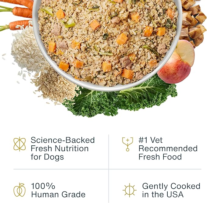JustFoodForDogs Pantry Fresh Wet Dog Food, Complete Meal or Topper, Chicken & White Rice Human Grade Recipe - 12.5 oz (Pack of 6)