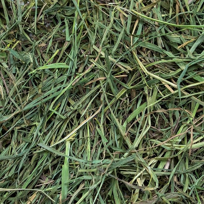 Rabbit Hole Hay - Ultra Premium Soft Timothy Hay for Small Pets - 5 lb Box - Fresh & Soft