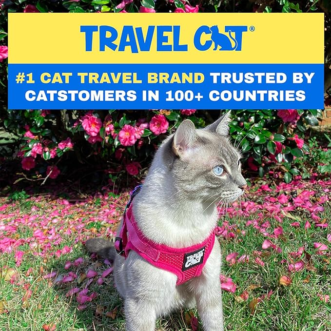 Travel Cat Harness and Leash Set - Adjustable Fit Mesh Cat Harness and Reflective Strap - Comfort Walking Vest for Kitten for Outdoor Walking, Hiking (Medium)