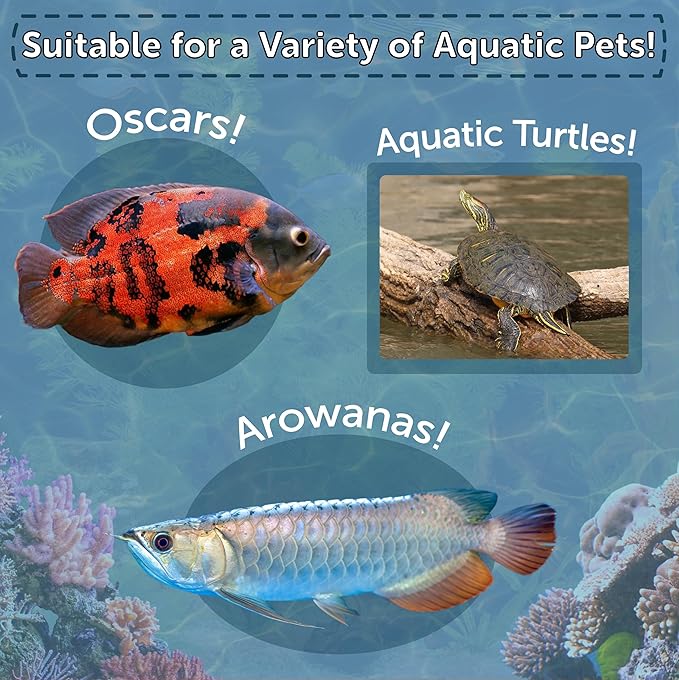 Aquatic Foods Inc. Grasshoppers, Freeze Dried Grasshoppers for Large Tropical Fish, Monster Fish, Reptiles, Turtles, Tortoises, Frogs, Hamsters, Birds, Rodents 2.3oz Canister