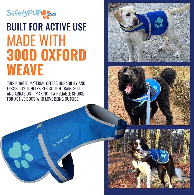 SafetyPUP XD Dog Reflective Vest – Hi-Vis Fluorescent Visibility That Helps to Safeguard Your Pet On/Off Leash in Urban & Rural Areas (Blue, X-Large)