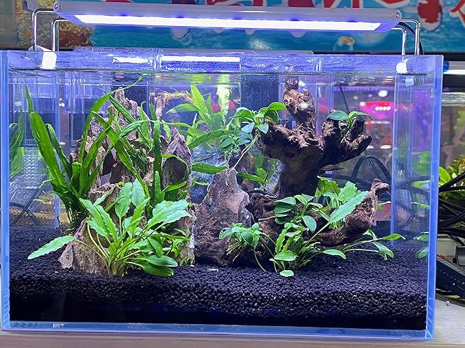 LANDEN Aqua Soil Substrate for Natural Planted Aquarium, Plant or Shrimp Stratum, Clay Gravel and Stable Porous Substrate for Freshwater Aquarium, Black Color (20 lbs)