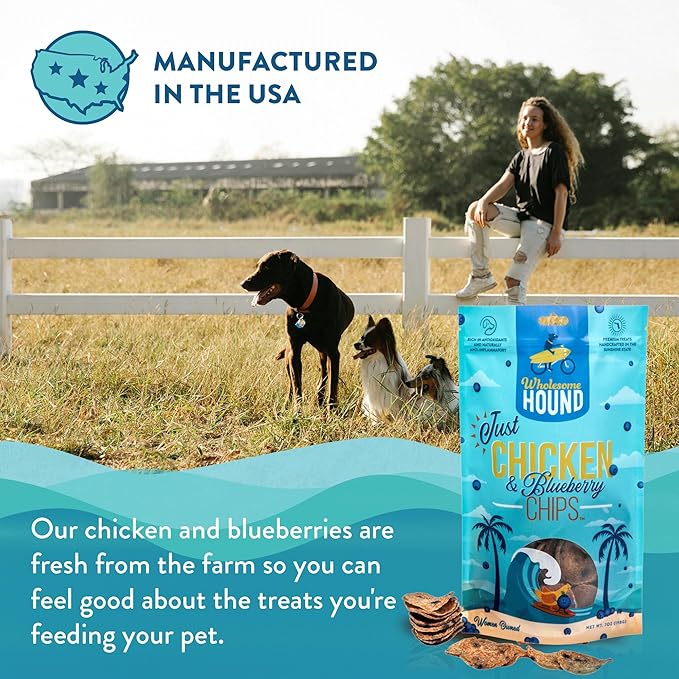 Chicken & Blueberry Chips – 2 Simple Ingredient Dog Treats, All Natural & Healthy Training Snacks for Small, Medium & Large Breeds, Puppies – High Protein, Made in USA, 7oz